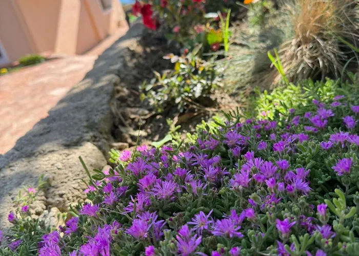 Levi's Radhima 公寓