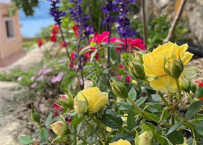 Levi's Radhima 公寓