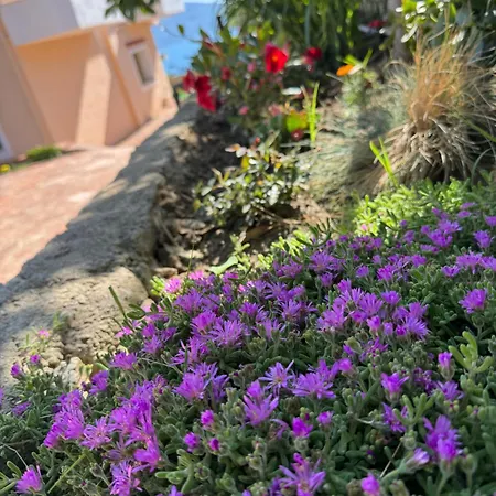 Levi's Radhima Appartement