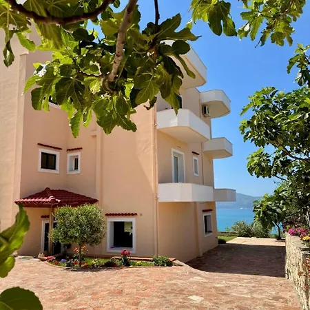 Levi's Radhima Vlore