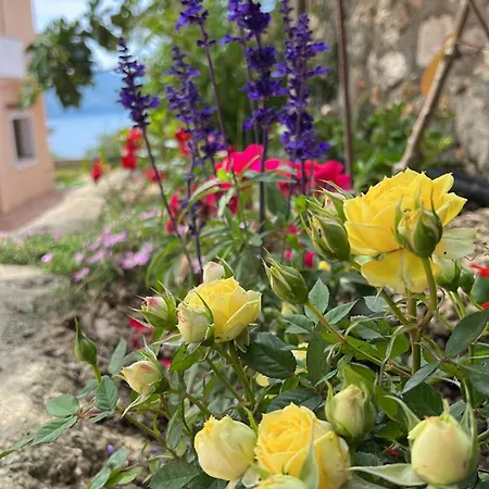 Levi's Radhima Appartement